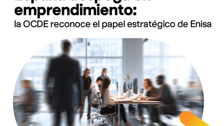 La OCDE constata el "papel estratégico" de Enisa en el rápido avance del ecosistema emprendedor español. | ENISA ep la ocde constata el papel estrategico de enisa en el rapido avance del ecosistema emprendedor
