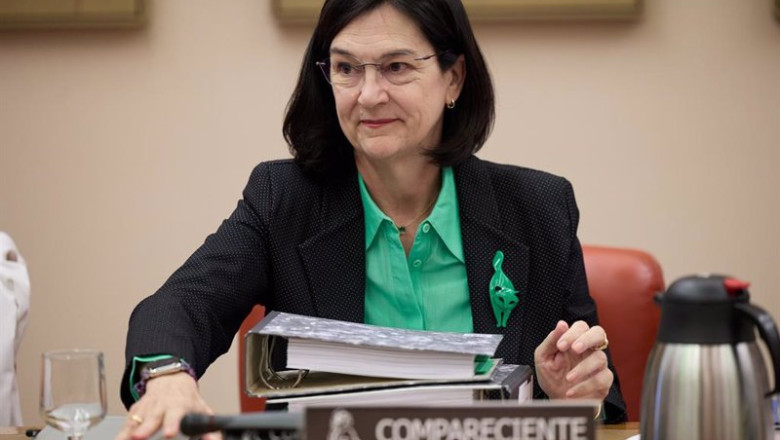 ep la presidenta de la comision nacional de los mercados cnmc cani fernandez comparece en la