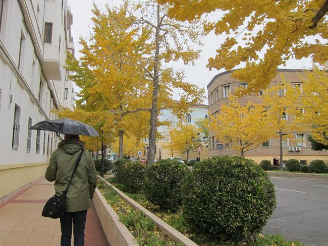 Lluvia en Zaragoza, otoño, paraguas, peatón, pasear | EUROPA PRESS ep lluviazaragoza otono paraguas peaton pasear