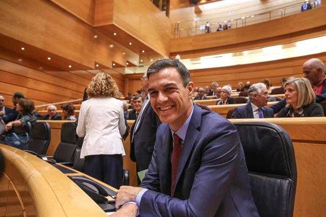 ep pedro sanchezsesioncontrolgobiernosenado