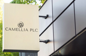 image of the news Camellia launches buyback after completing BF&M stake sale
