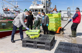 ep el consejero de pesca guillermo blanco en el puerto de santona con motivo de la costera de la