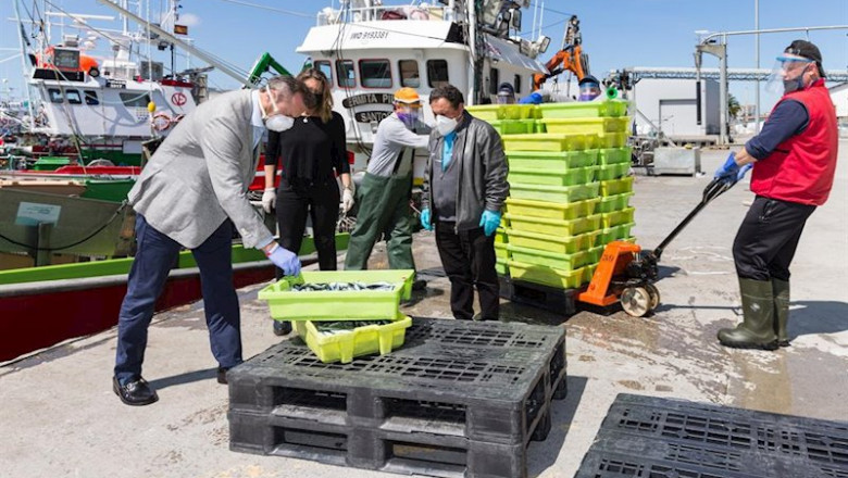 El consejero de Pesca, Guillermo Blanco, en el puerto de Santoña con motivo de la costera de la anchoa | GOBIERNO ep el consejero de pesca guillermo blanco en el puerto de santona con motivo de la costera de la