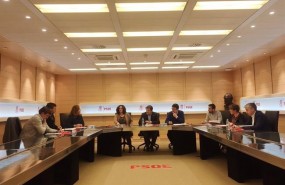 ep la comision gestorapsoe