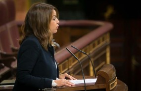 ep la diputadapsoe tamara raya enplenocongreso