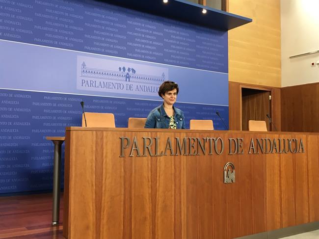 ep la portavoz adjuntapodemos andalucia esperanza gomez