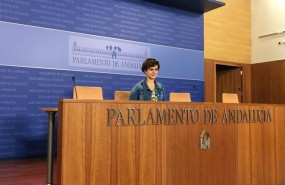 ep la portavoz adjuntapodemos andalucia esperanza gomez