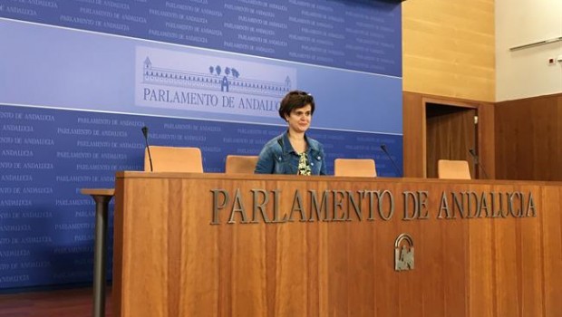 ep la portavoz adjuntapodemos andalucia esperanza gomez