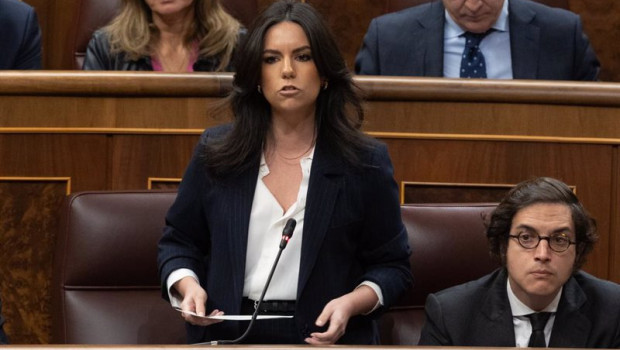 ep la portavoz de vox en el congreso pepa millan interviene durante una sesion de control al
