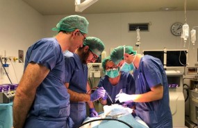 ep neurocirugia