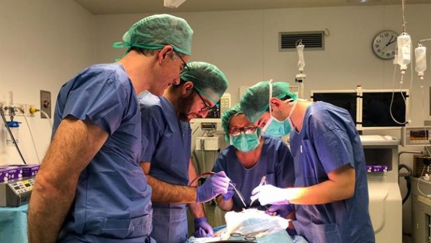 ep neurocirugia