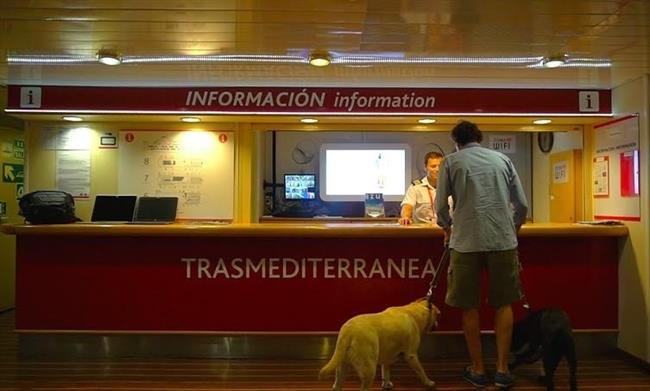 Trasmediterranea, pasajero con un perro | TRASMEDITERRANEA ep trasmediterranea pasajeroun perro