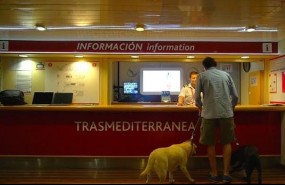 ep trasmediterranea pasajeroun perro