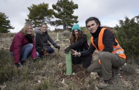 1573572226 mustela plantaci n ejulve