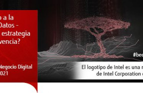 1616669825 1 1616669825 1