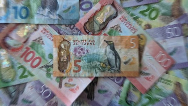 dl nzd new zealand dollar rbnz reserve bank of new zealand currency notes banknotes bills interest rates spending inflation unsplash