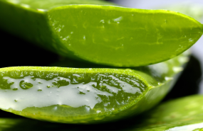 entrenamiento personal 