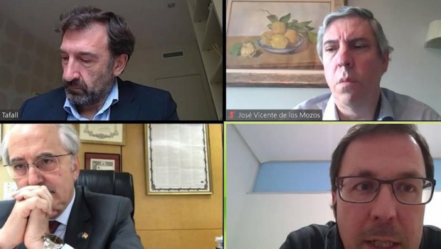 ep captura de pantalla de la mesa redonda online con raul blanco abajo a la derecha