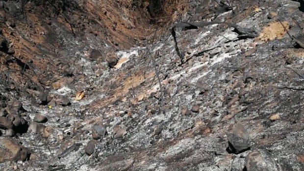 ep incendiogran canaria