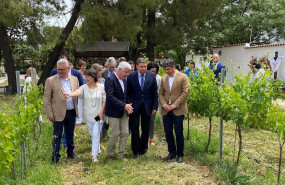 ep planas 2 dcha recorre las vinas de las bodegas robles