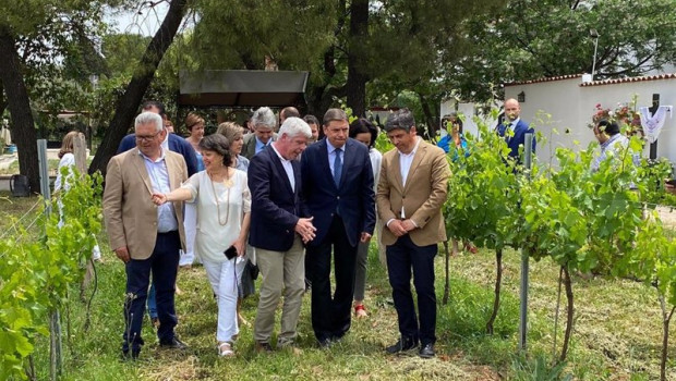 ep planas 2 dcha recorre las vinas de las bodegas robles