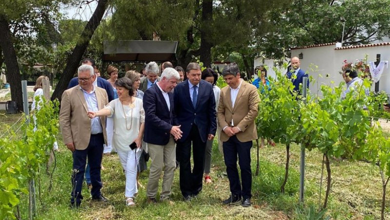 Planas (2º dcha.) recorre las viñas de las Bodegas Robles. | MINISTERIO DE AGRICULTURA ep planas 2 dcha recorre las vinas de las bodegas robles