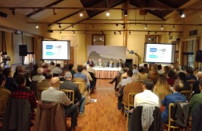 ep presentacionproyecto rufola fundacion artemisan