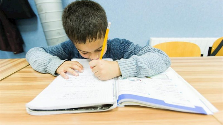 ep un escolar realizando deberes