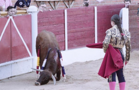 ep una joven novillera lidia un novillo en esquivias toledo organizaciones antitaurinas piden la