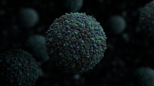Virus Zika | MANUEL ALMAGRO RIVAS - Archivo ep virus zika 20180807161401