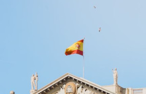 pexels pexels photo 36883772