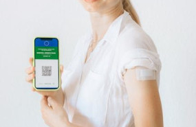 pexels pexels photo 8830498