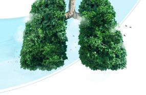 1596535928 haier respira