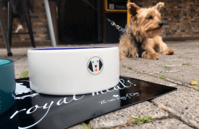 1617190501 20210331 doggiesnax foto de perro en terraza con men doggiesnax 