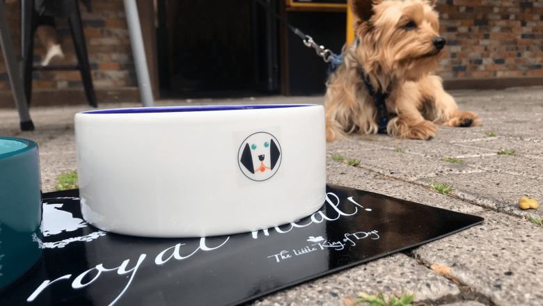 1617190501 20210331 doggiesnax foto de perro en terraza con men doggiesnax 