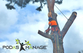 1648811750 podas manage