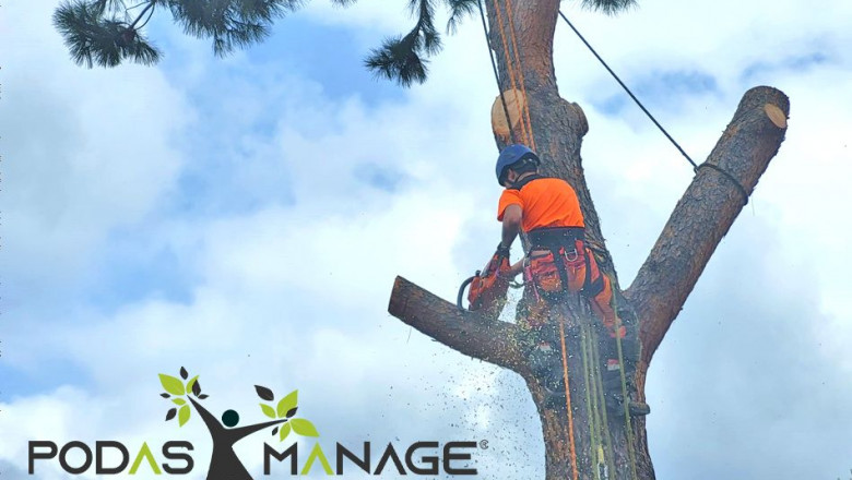 1648811750 podas manage