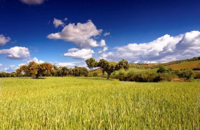 ep archivo   explotacion agricola en extremadura