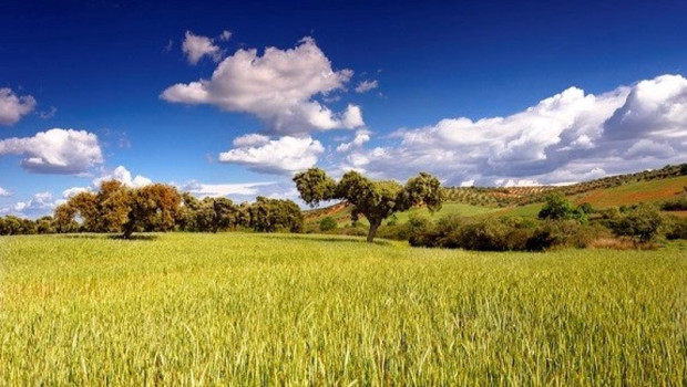 ep archivo   explotacion agricola en extremadura