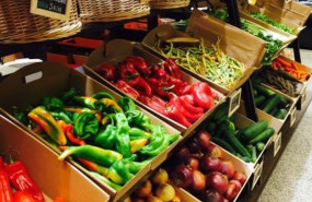 ep archivo   fruta y verdura de dehesa el milagro