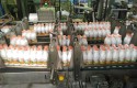 ep capsa central lechera asturiana leche ep capsa central lechera asturiana leche