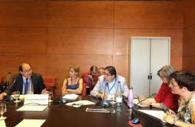 ep director generalvitaldent javier martin durantecomparecenciaparlamentocataluna