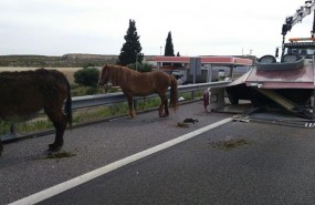 ep dos heridos gravesun accidentela a-2zaragoza