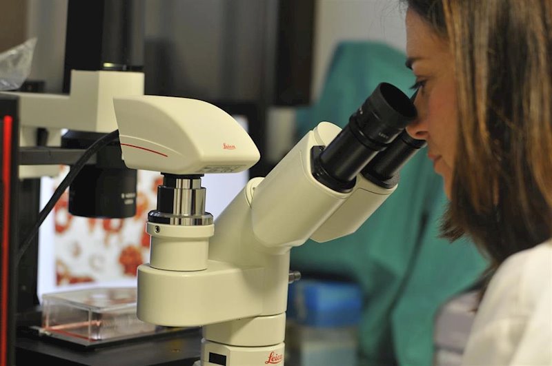 ep estudio que contempla una proteina como tratamiento de esclerosis multiple