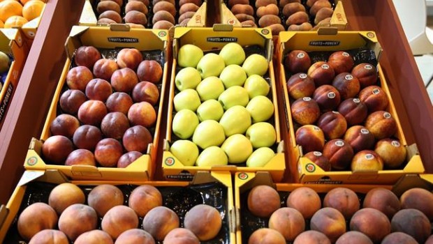 ep frutas fruta fruit