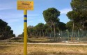 ep gasoductohuelvasevillasu pasodonana ep gasoductohuelvasevillasu pasodonana