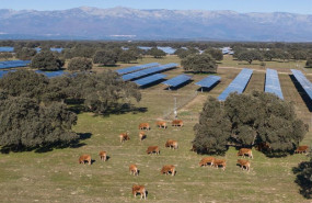 ep la planta fotovoltaica talayuela ii de statkraft recibe el sello de excelencia en sostenibilidad