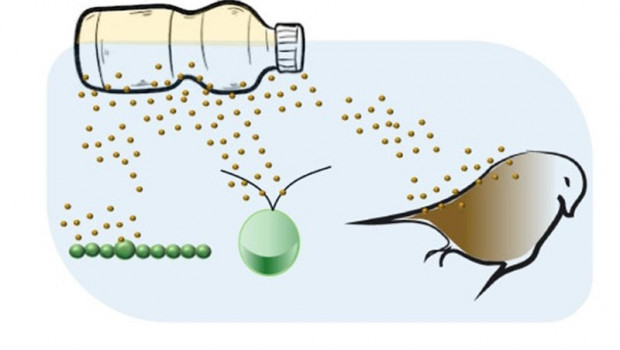 ep los plasticos biodegradablesse degradanafectanla naturaleza