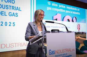 ep presidenta de gasindustrial veronica rivire