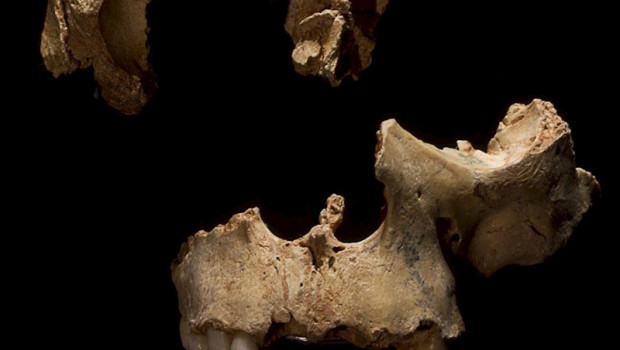 ep resdtos oseos hallados en atapuerca